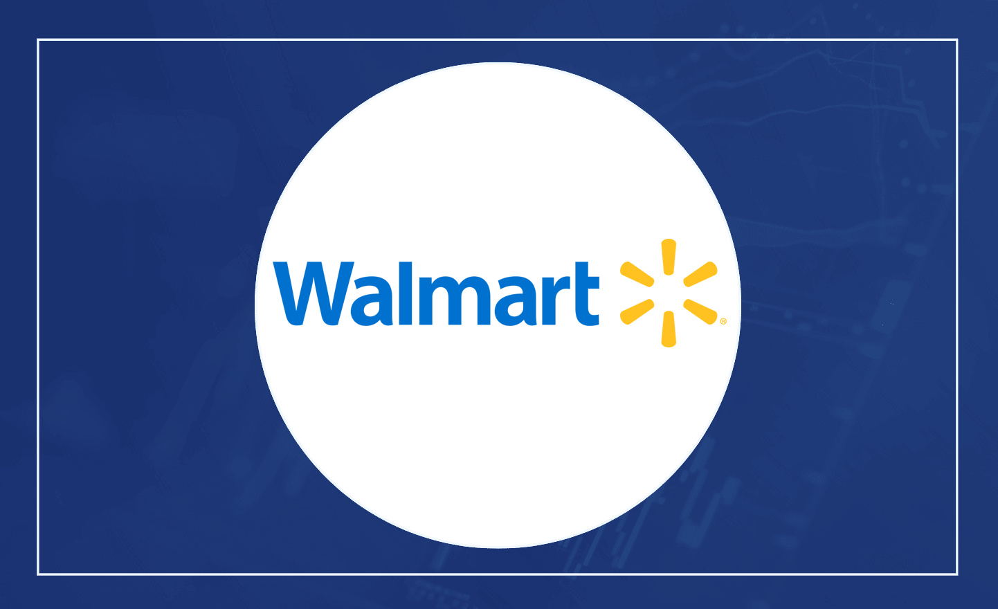 Walmart (WMT) Earnings Review August 17, 2024